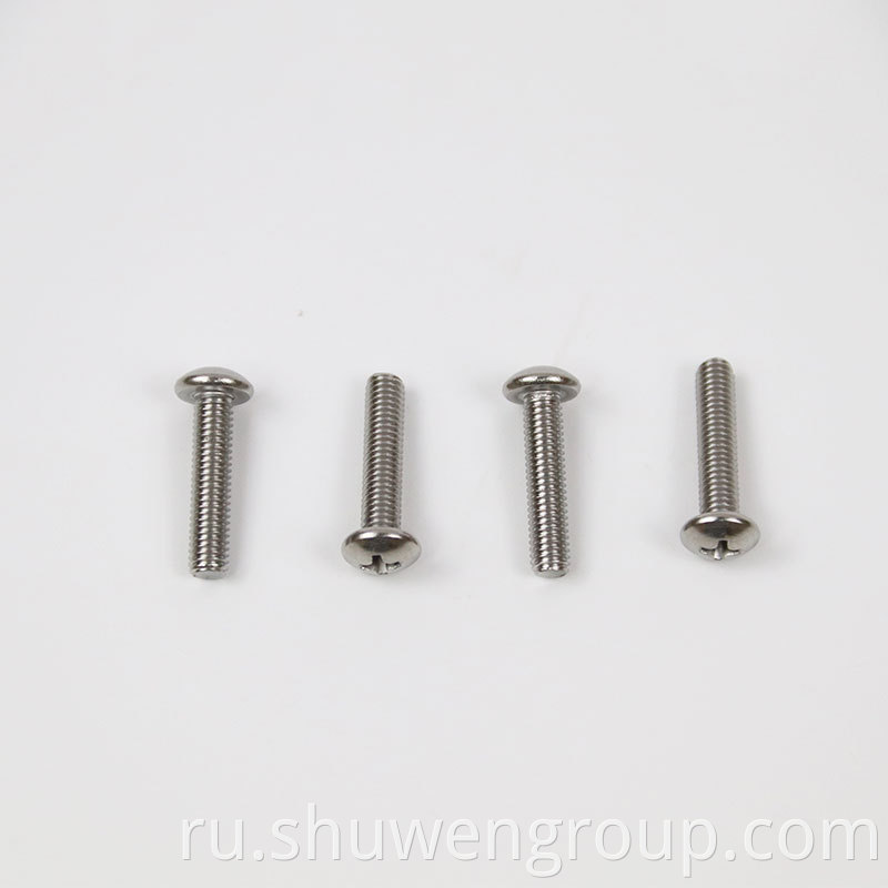 Stainless Steel 304/316 Round Head Bolt